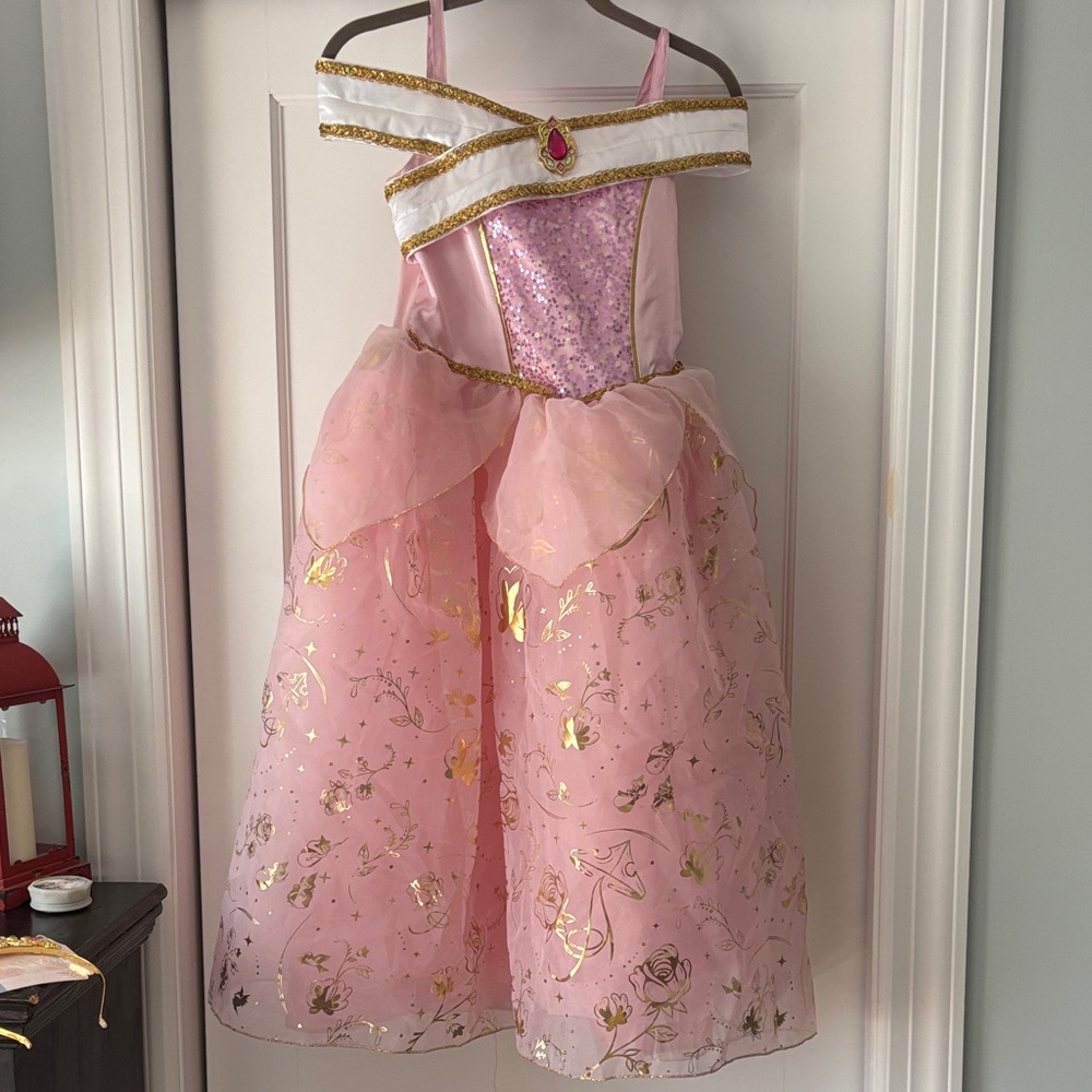 Pink Princess Aurora Girls' Costume Dress with Gold Accents with crown